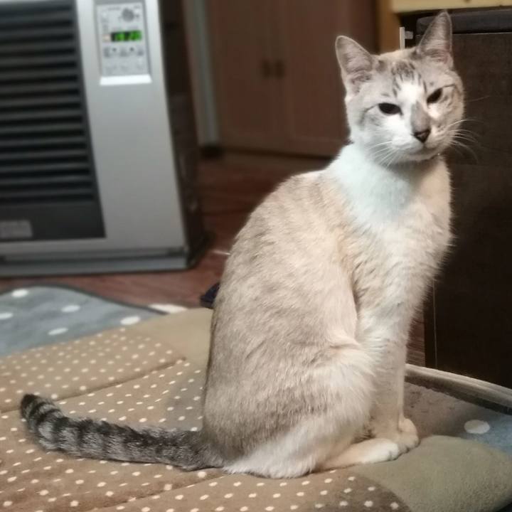 F7c11e5e 02b0 4423 8119 1589088aa645 1547888360972