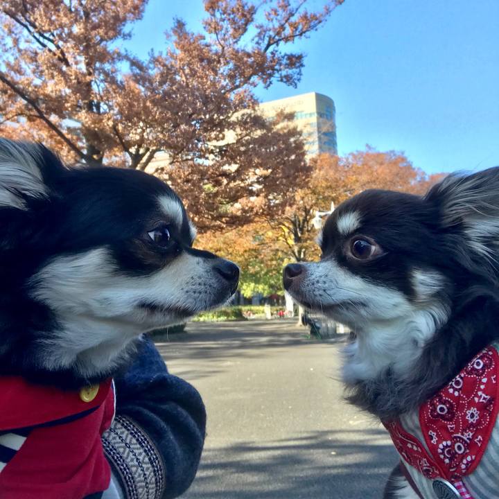 F7c142be 0ceb 41d7 98d3 5fcbe6f540f6 1543119642849