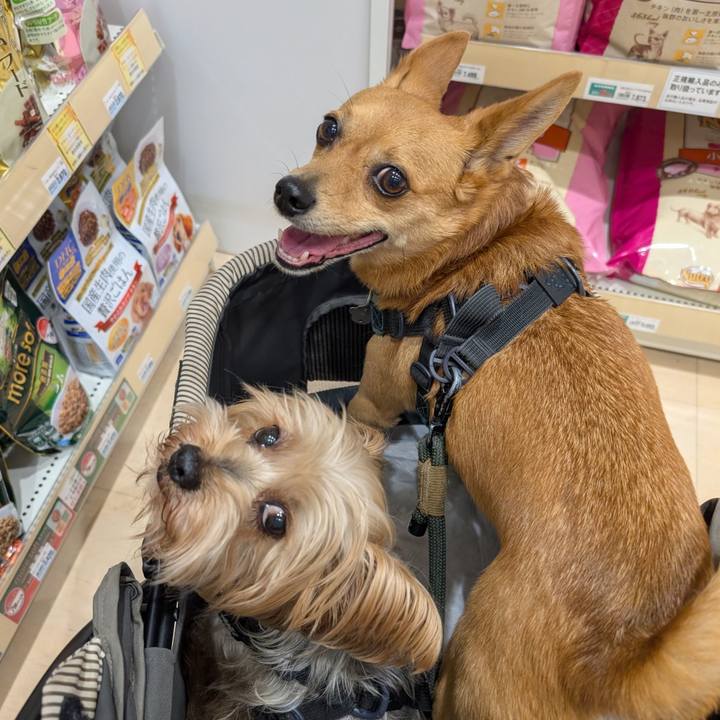 F7c15545 7863 4f73 8b83 48ab1c2fd595 1761205237794