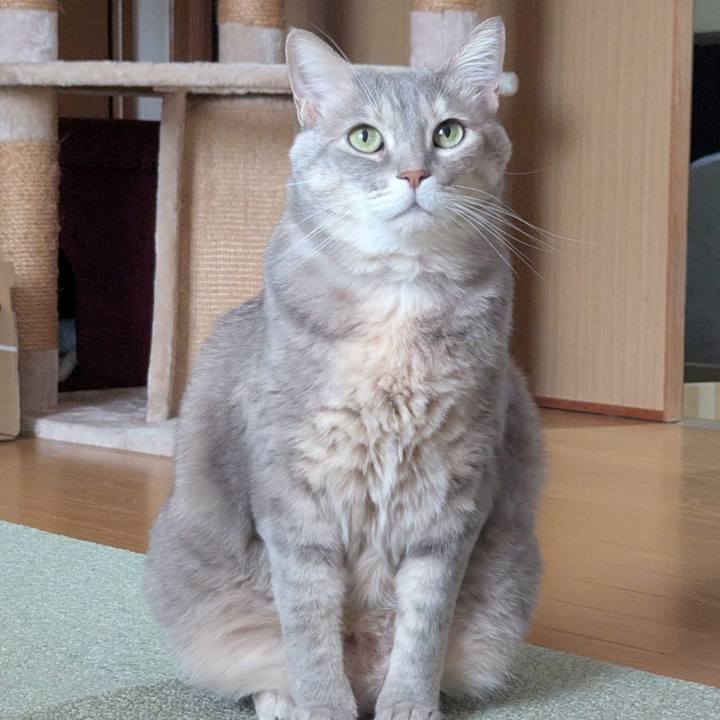 F7c159e9 6fff 4dce b869 b7834ef574de 1744005126699