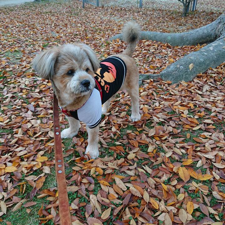 F7c16cb1 537f 48cb 9603 0452262cf5e6 1605569457699