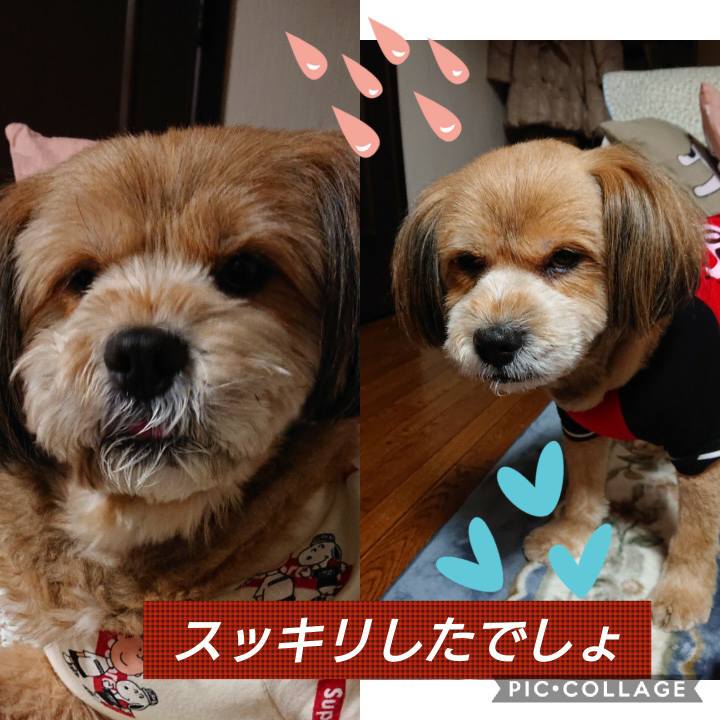 F7c181af ce96 449e 8885 e7e4cf1b77eb 1583592122436