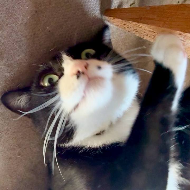 F7c195bb a863 402f b878 2be5ddbbfbd6 1757039961645