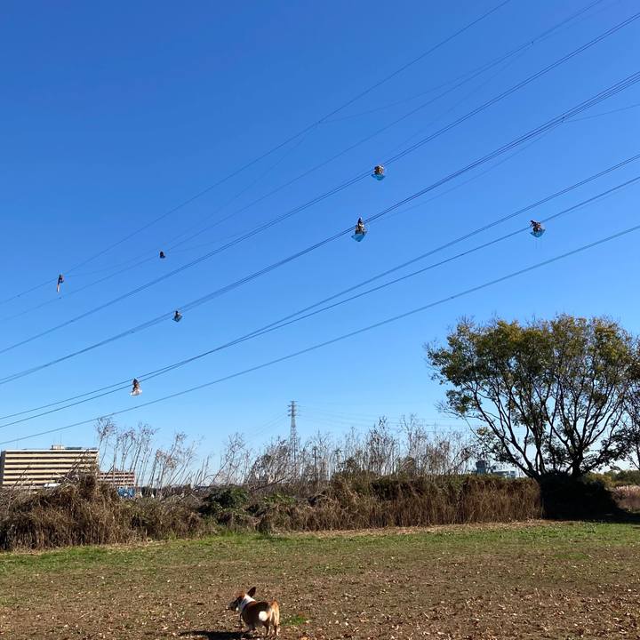 F7c1e00e 9e82 43d3 9e27 fd04a4c15e2d 1637803609605