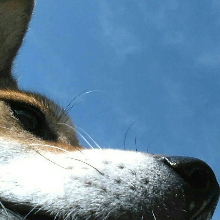 F7c1ef45 3a8b 43c0 b4d8 72ad53f6a934 1538355537285