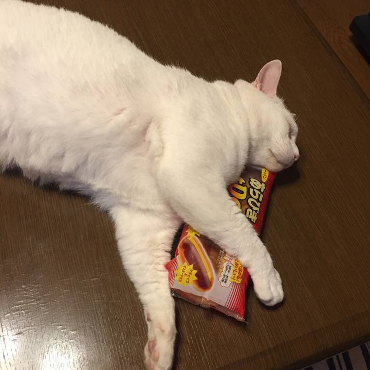 F7c1f741 4b67 4afb b3e1 6d74f83aad1b 1563660174077