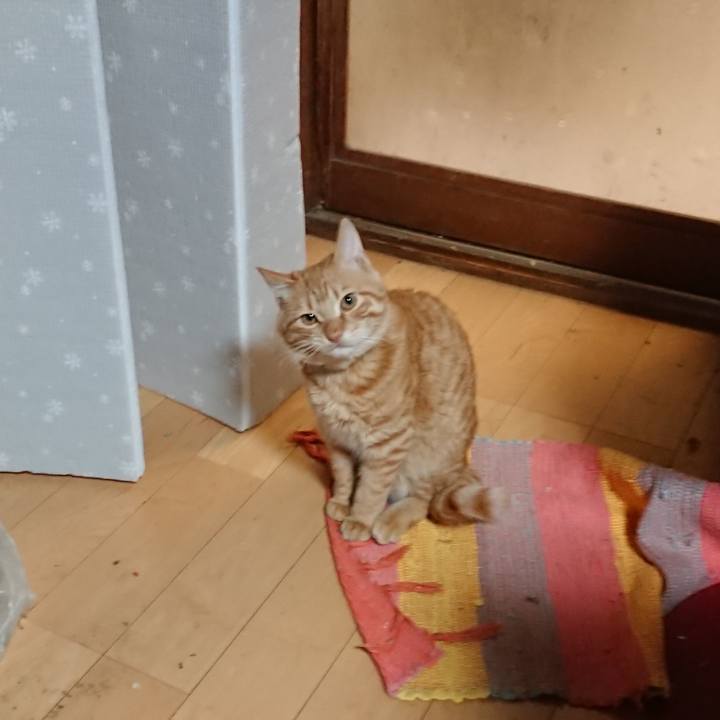 F7c1f9e7 c68e 4e1b 9797 dbe6441ed3cf 1639393438961