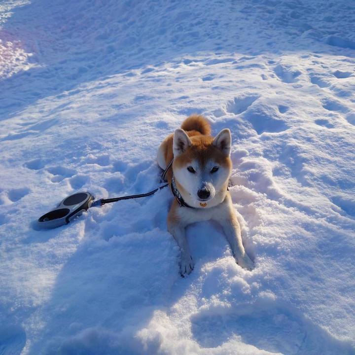 F7c2001b 188c 4995 a44d 7ea5946414c2 1640161054115