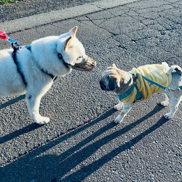 F7c229e6 54fc 427d baf9 3064a86a84ac 1728511723426