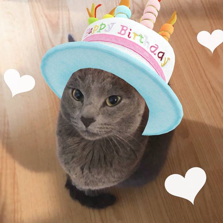 F7c2541d bd98 462d b41a 1d185968a198 1578003743761