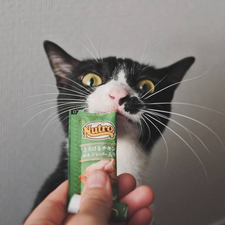 F7c25d34 a2cf 4721 9f7c df8bc8f2a7f1 1727344188856