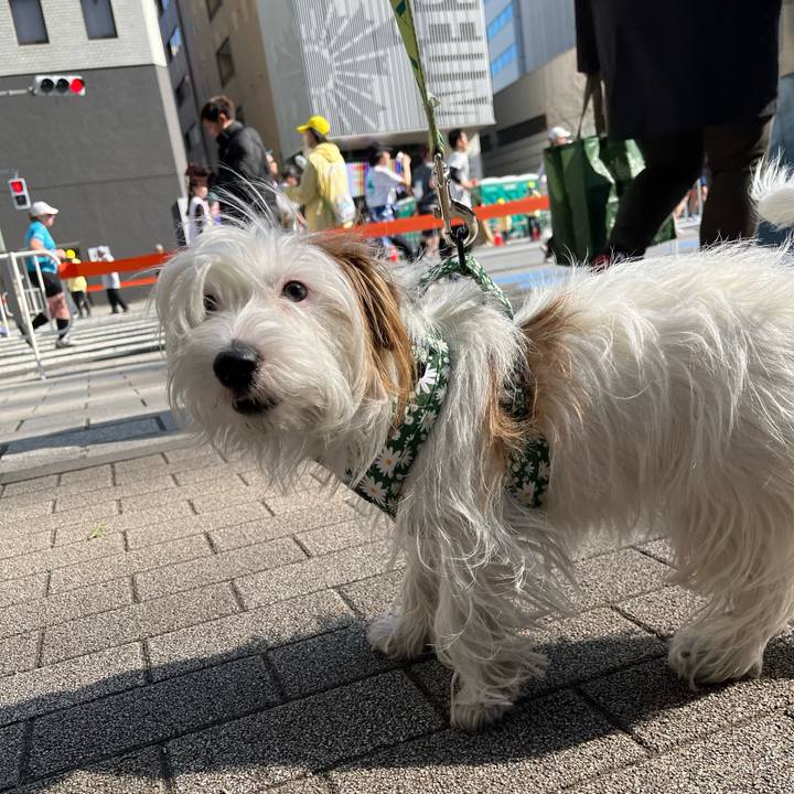 F7c2642f ec29 4d15 956c 4297f1a0e93f 1740916243869