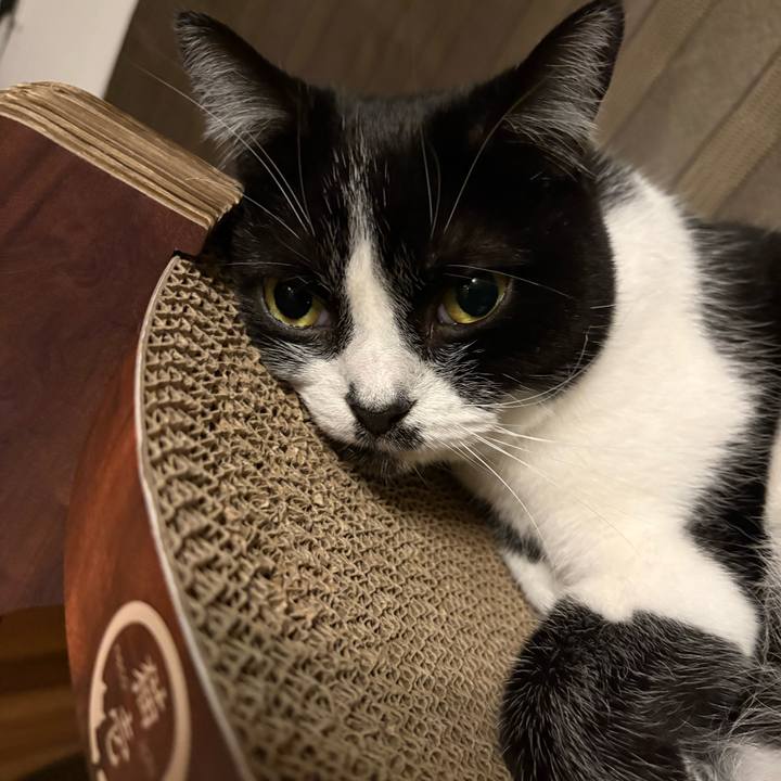 F7c27a96 aa28 4ec6 b7f8 e9603755b7f8 1772109647840