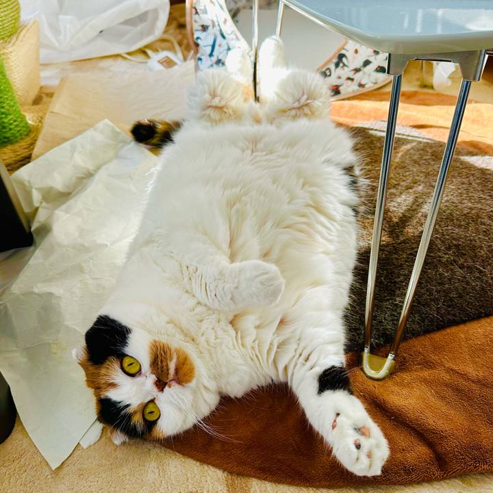 F7c2984b 9b2b 4896 892a 499a8cdf4674 1705639339518