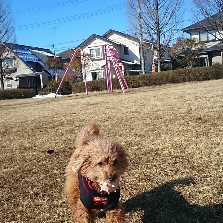 F7c29fc8 331b 47c7 b250 4018fefcf335 1519269413200