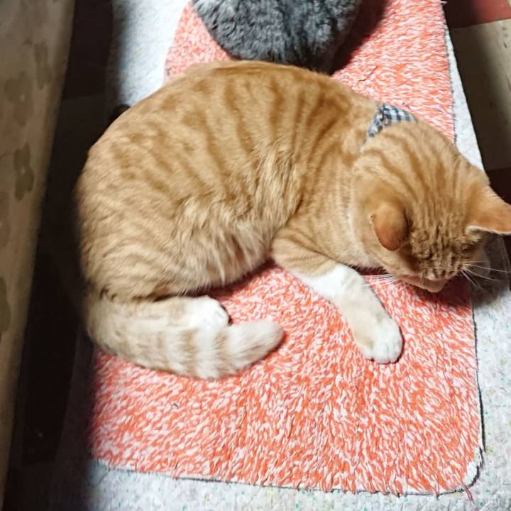 F7c2e633 1d24 499a b1b8 e00d7d0064d9 1574848066264