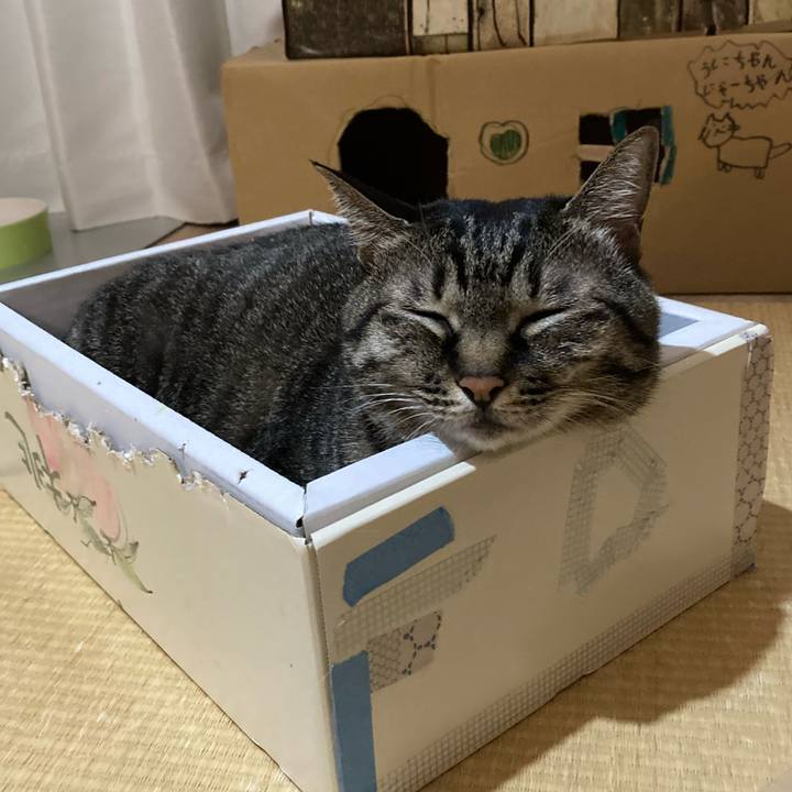 F7c320a4 15db 4924 af07 8e7825294cea 1602683251064