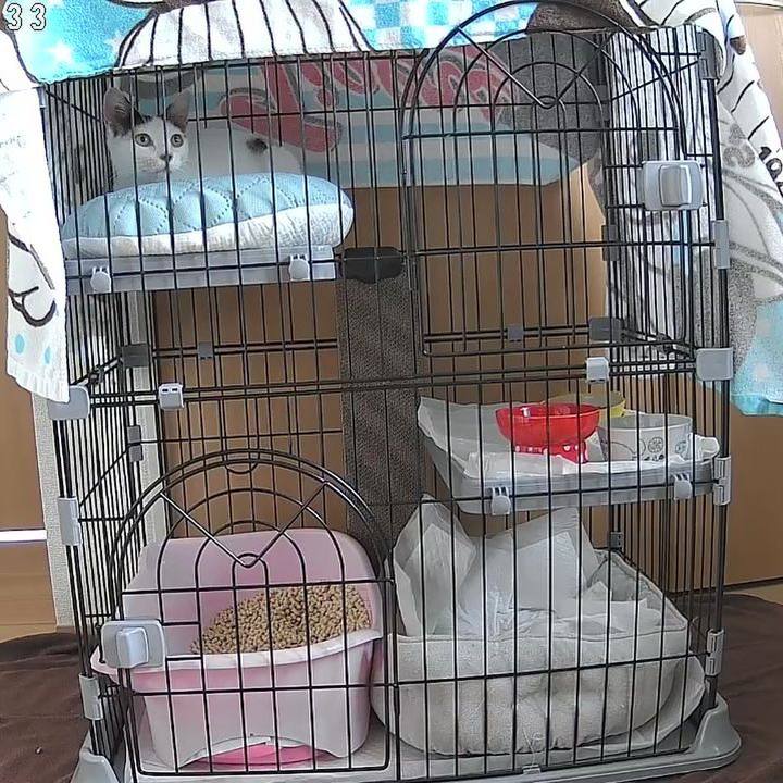 F7c326e5 9255 452b 80f6 db5a7e2699e3 1718701307792