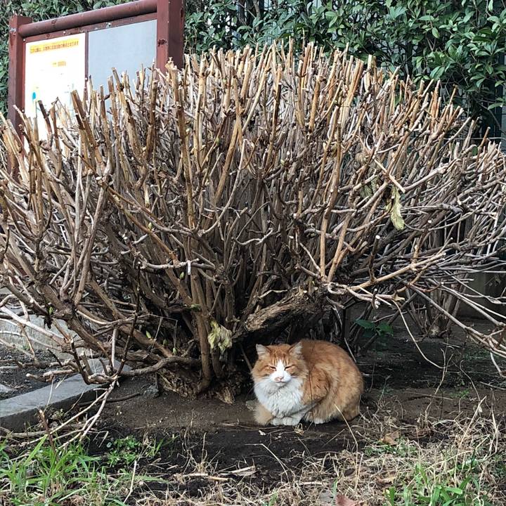 F7c344c9 fe46 425a 807d 0ad1e7be26e9 1516092207705