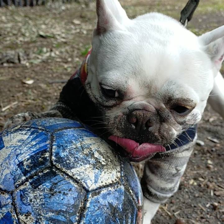 F7c37587 fe1d 4394 ad90 5ceb629684e5 1646720924054