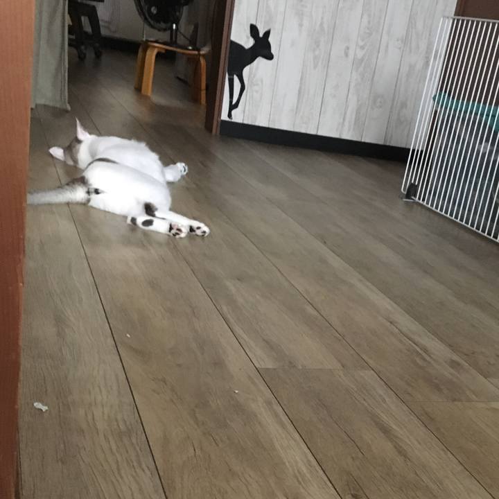 F7c3997b babe 4c88 8bce 38679b0902ae 1565579501801