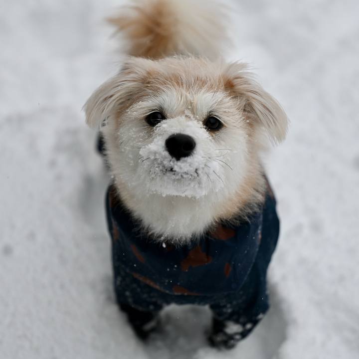 F7c3d404 edf5 4c76 b084 c88f6f69fb4d 1762556221268