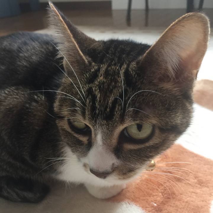 F7c3e8d9 68cd 49c5 b45b ce3b0c67e902 1550025577260