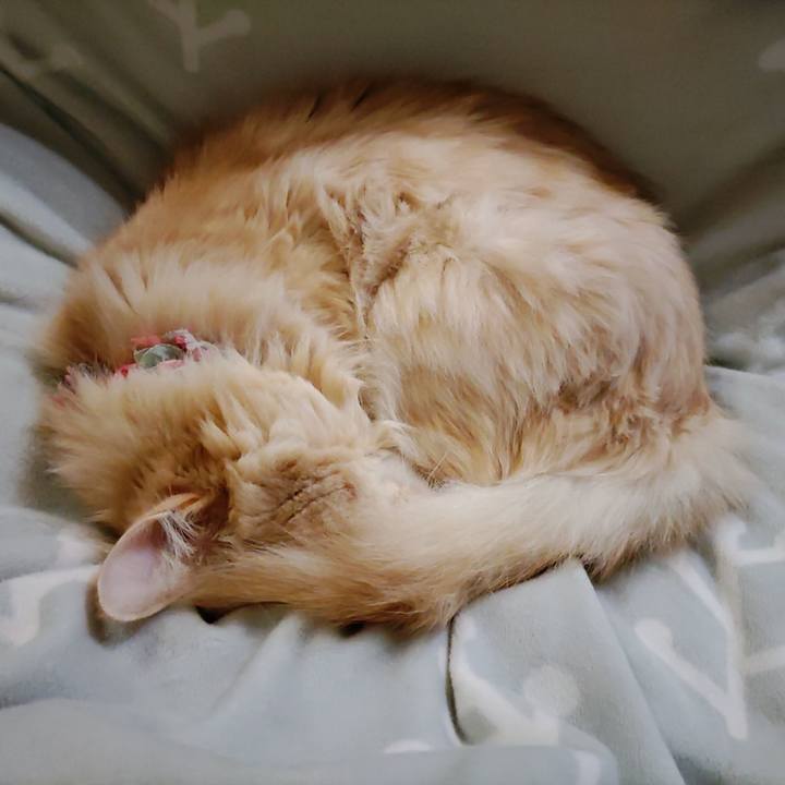 F7c3f543 9646 4dfb aefe 1a02fd752735 1704206603373