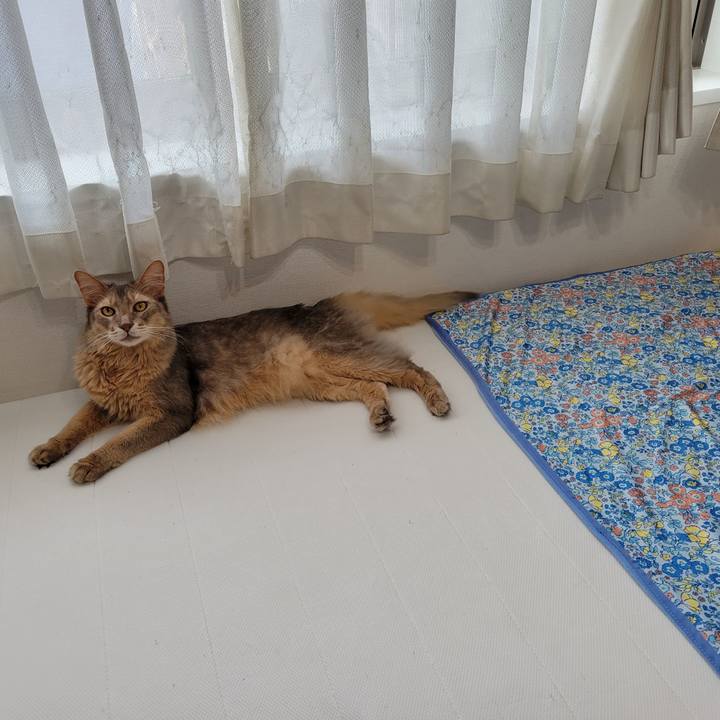 F7c41851 4213 42ba 85de 833eab92e9e7 1658295026040