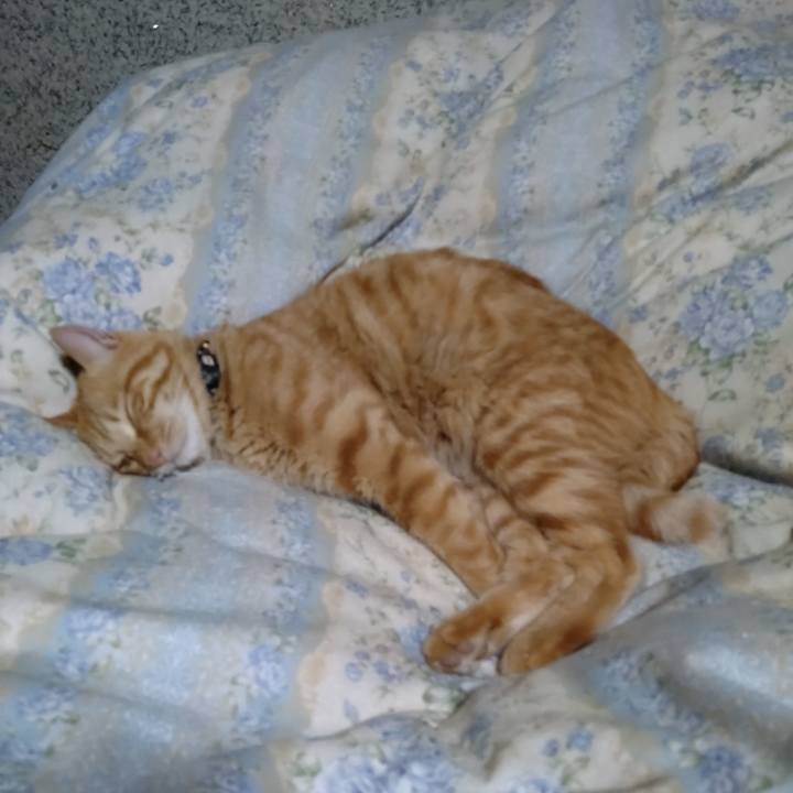 F7c453c0 2066 4cb1 98df c7d69d3a2b2b 1666094428933