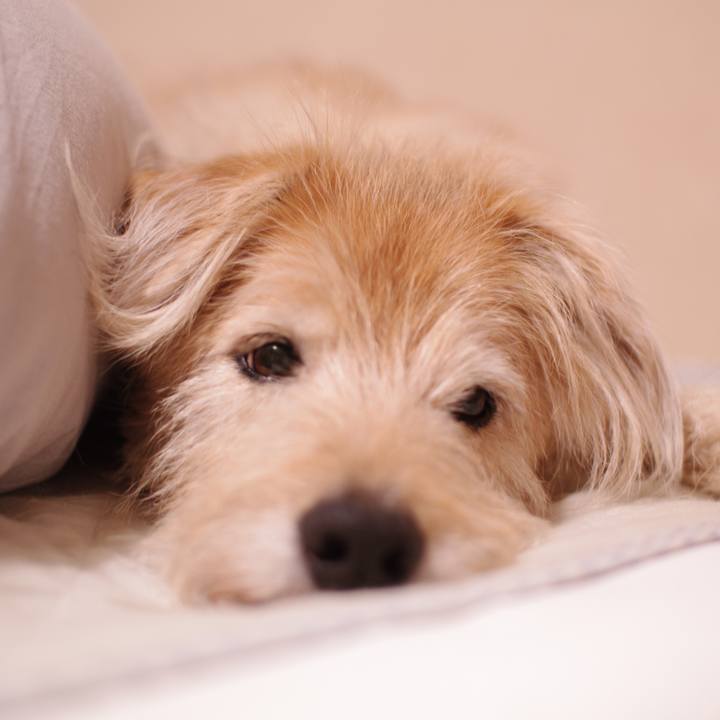 F7c4611e f2e5 4866 bd48 e90fcb15d0c4 1592107966306