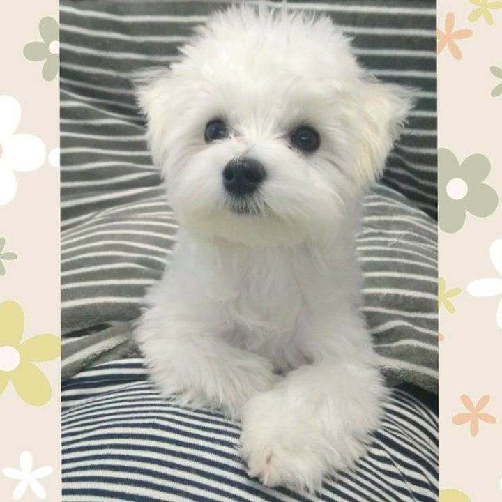 F7c48f98 619a 4d1f 9784 408987ed8907 1512440154046