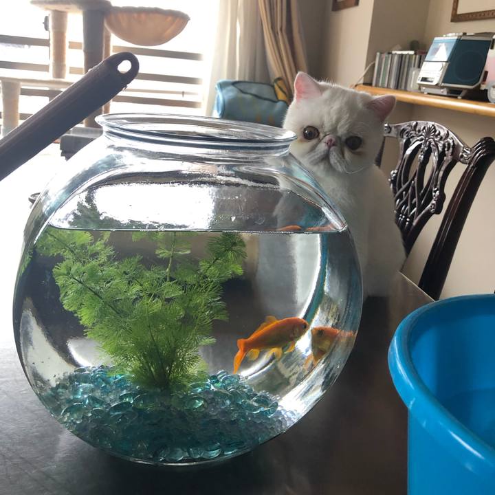 F7c4e177 8d88 4f30 a1a1 fedfc4f4e010 1572755784528