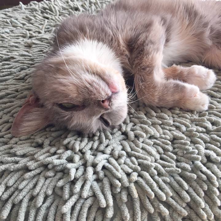 F7c4e238 c661 4b9f 84d9 328f1af2d20c 1557061778617