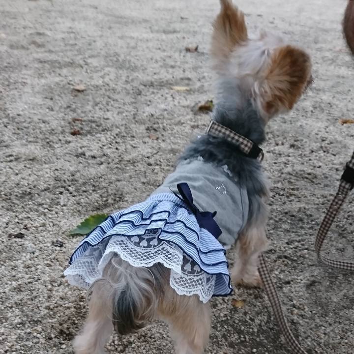 F7c526c2 79b8 4974 90bb 3e3845f6f0fd 1537013552019