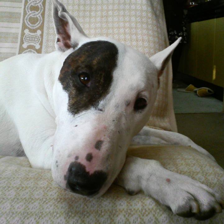 F7c52fb6 9cbc 434f ad99 d0b0591ab0be 1520780125545