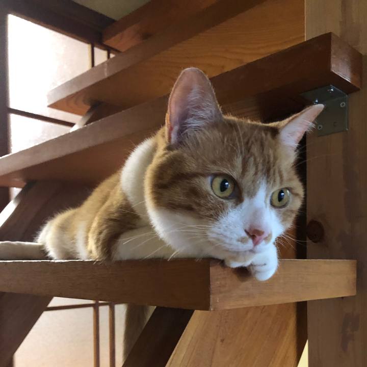 F7c56d80 6a10 43a0 b35d 516cad9c61f7 1624792695923