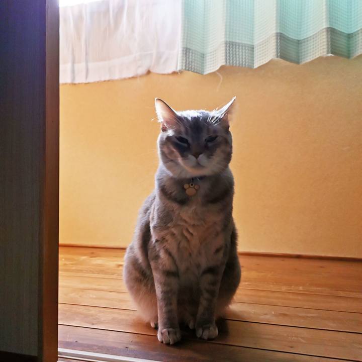 F7c57aed 993c 4a4e 9120 f7f6731ddb0f 1620615408774