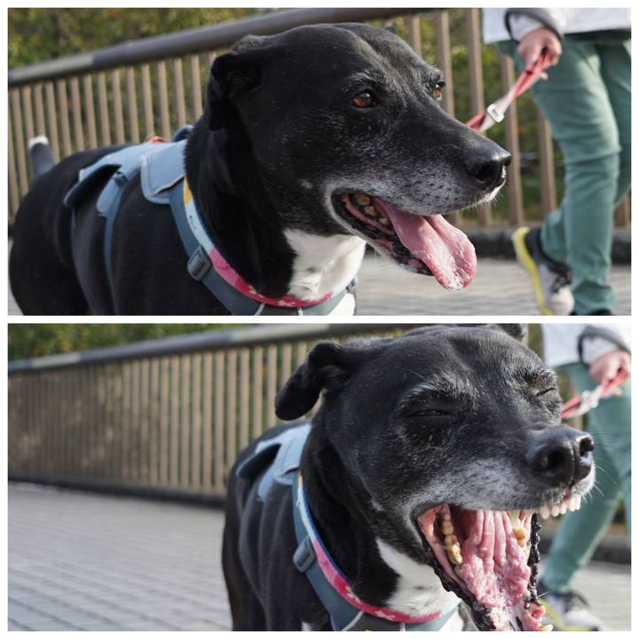 F7c58718 4780 4d53 b220 27ac6170cad4 1761295124845