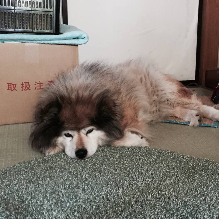 F7c5b02c e15d 4a97 99ac 39ba13065e2c 1550185576992