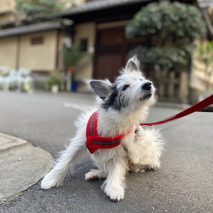 F7c5b75c 6d74 4a32 8b22 1173ccb2ebf6 1606051662304