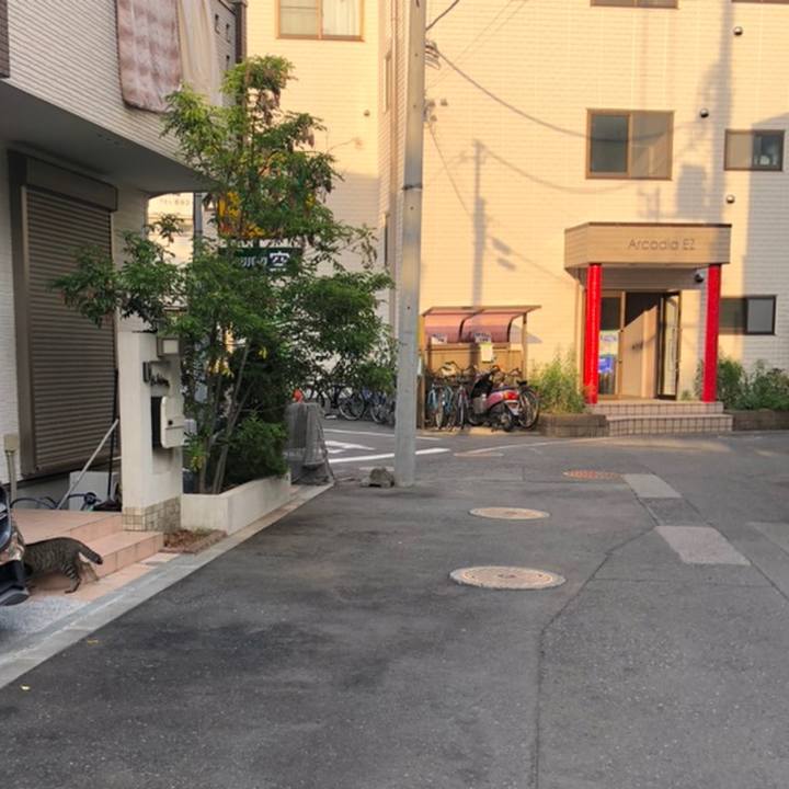 F7c5ba45 9583 4543 bc00 94bd6764a304 1558188532550