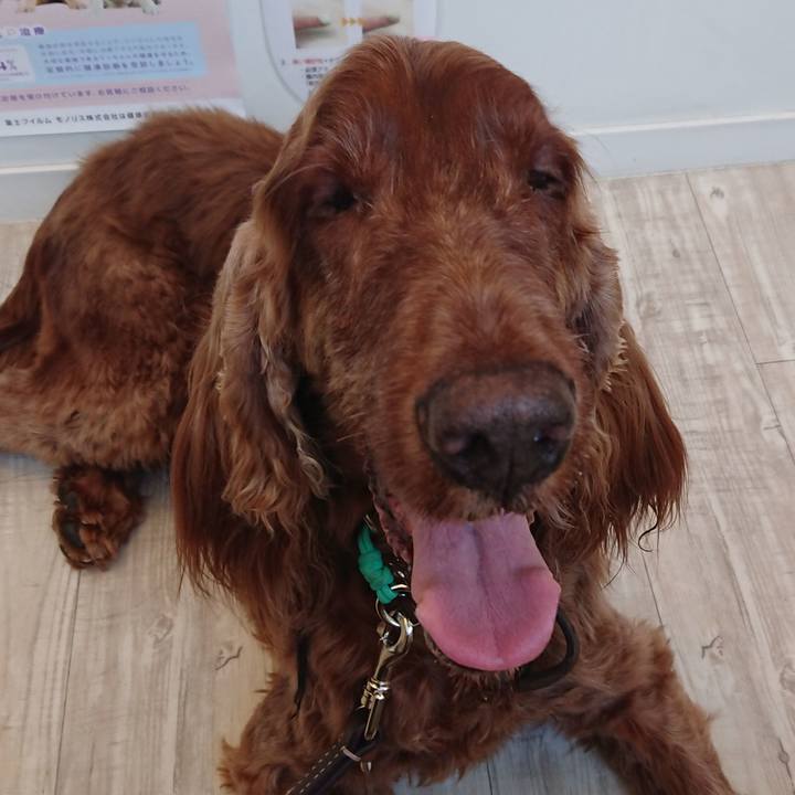 F7c5c6e8 0837 42f7 8a87 7d3a16b14baa 1558791707852