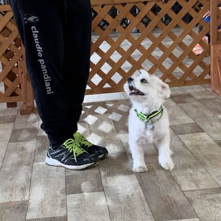 F7c5daf0 8529 441c bbb7 46737a460028 1598791940764