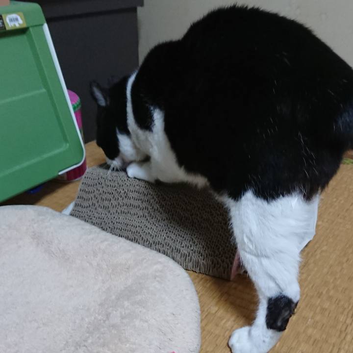 F7c5e210 dbae 487f a765 4d8e4f278e6d 1585990955339