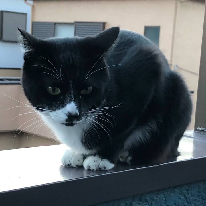 F7c5f8ae 15dc 4a7e 8f02 de0d95e9031a 1636688170991