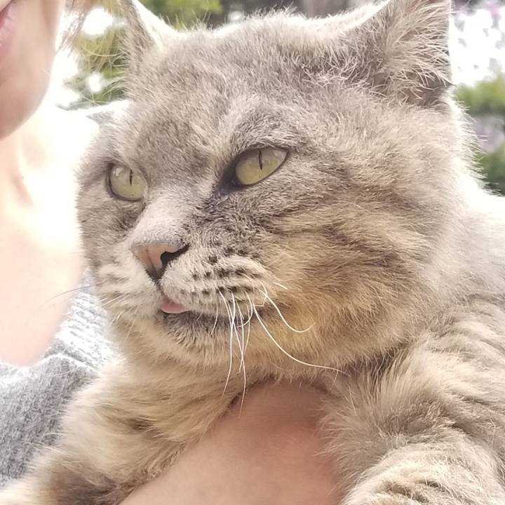 F7c6079a 1116 4235 9840 0818c8874346 1525399118998