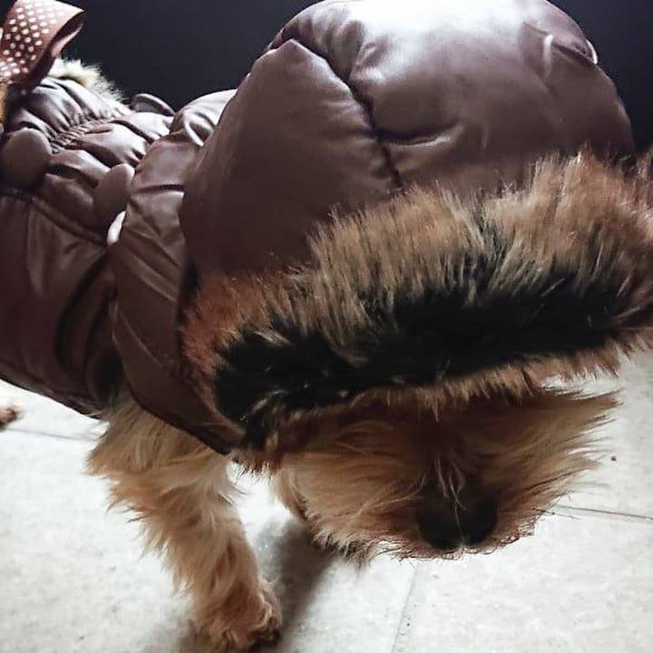 F7c64e8a 4a82 4752 9f3b 930eb2217f72 1579951785513