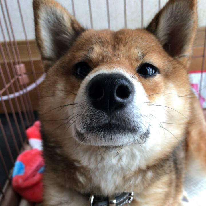 F7c65308 2ba4 4476 89aa 4572bcedbc10 1523315208535