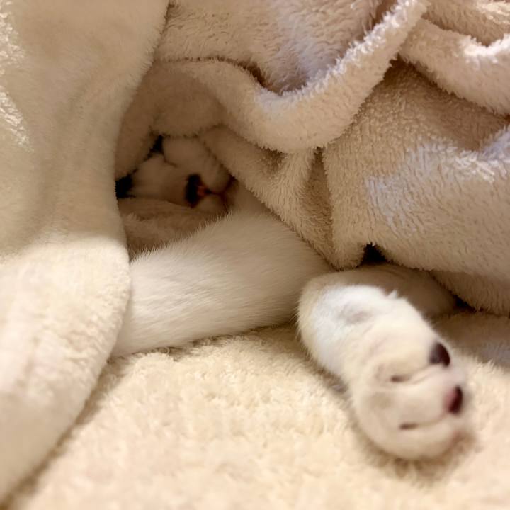 F7c6e4f6 d139 4659 ba95 21f4540a95c1 1761484971159